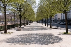 Place Bellecour (côté Sud, 28 mars, 11h54)