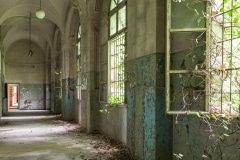 Hôpital psychiatrique du docteur Maboul - Mise au vert