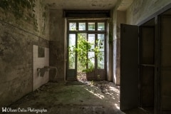 Hôpital psychiatrique de l'electrochoqueur - Plante d'intérieur